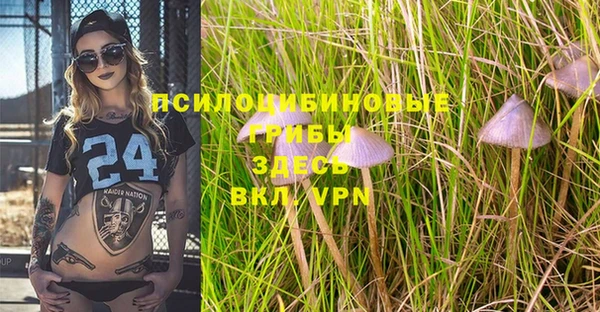 прущие крисы Краснотурьинск