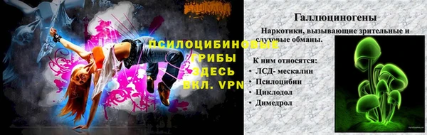 PSILOCYBIN Кукмор